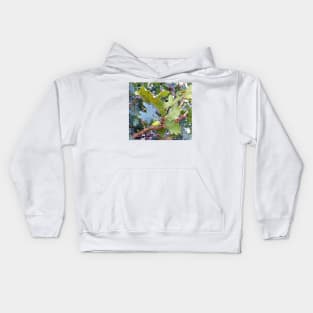 Acorn Kids Hoodie